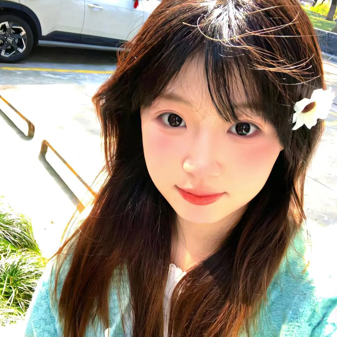 野狗们